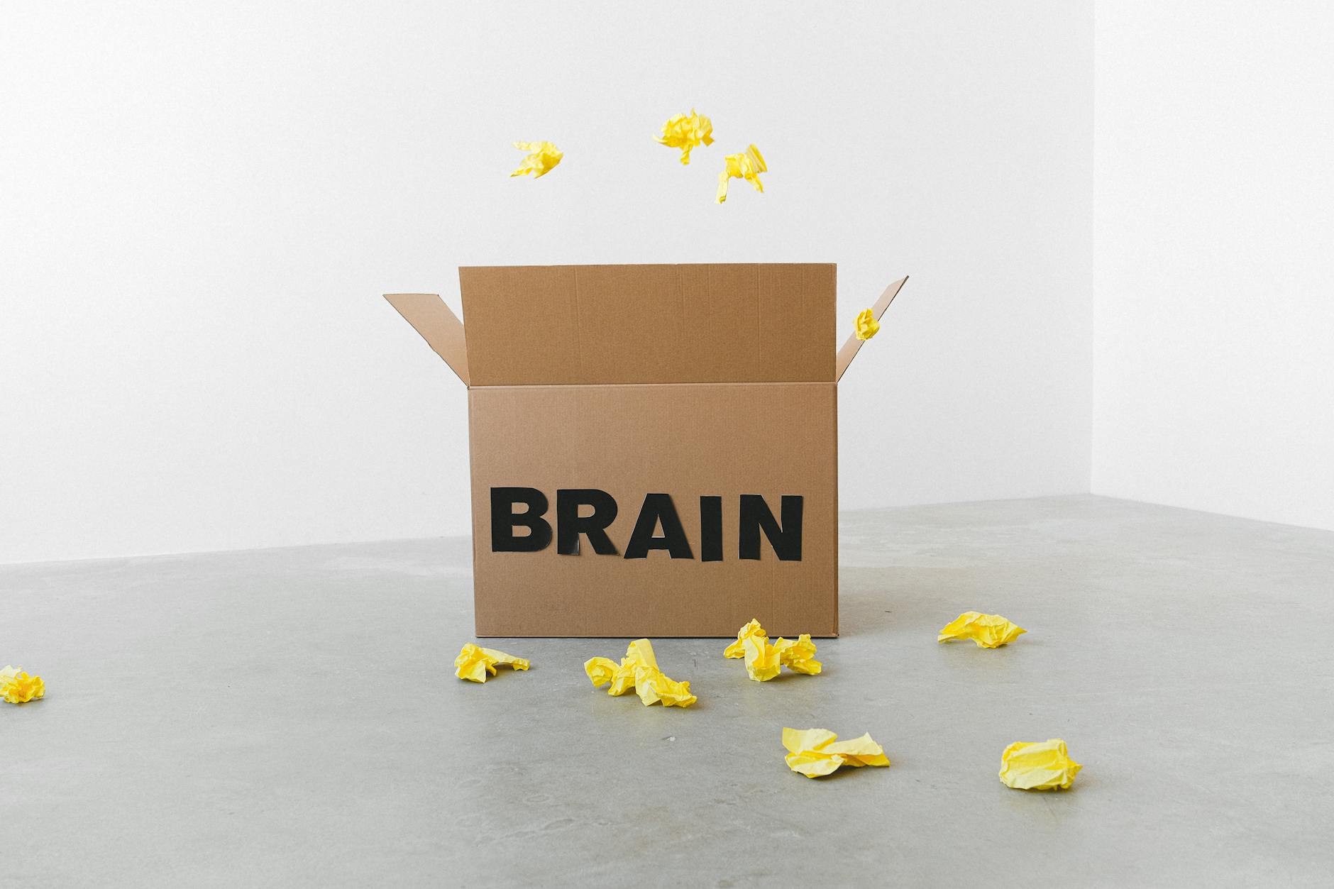A cardboard box labelled "Brain" has many yellow scrunched up papers flying out of it and scattered around it.