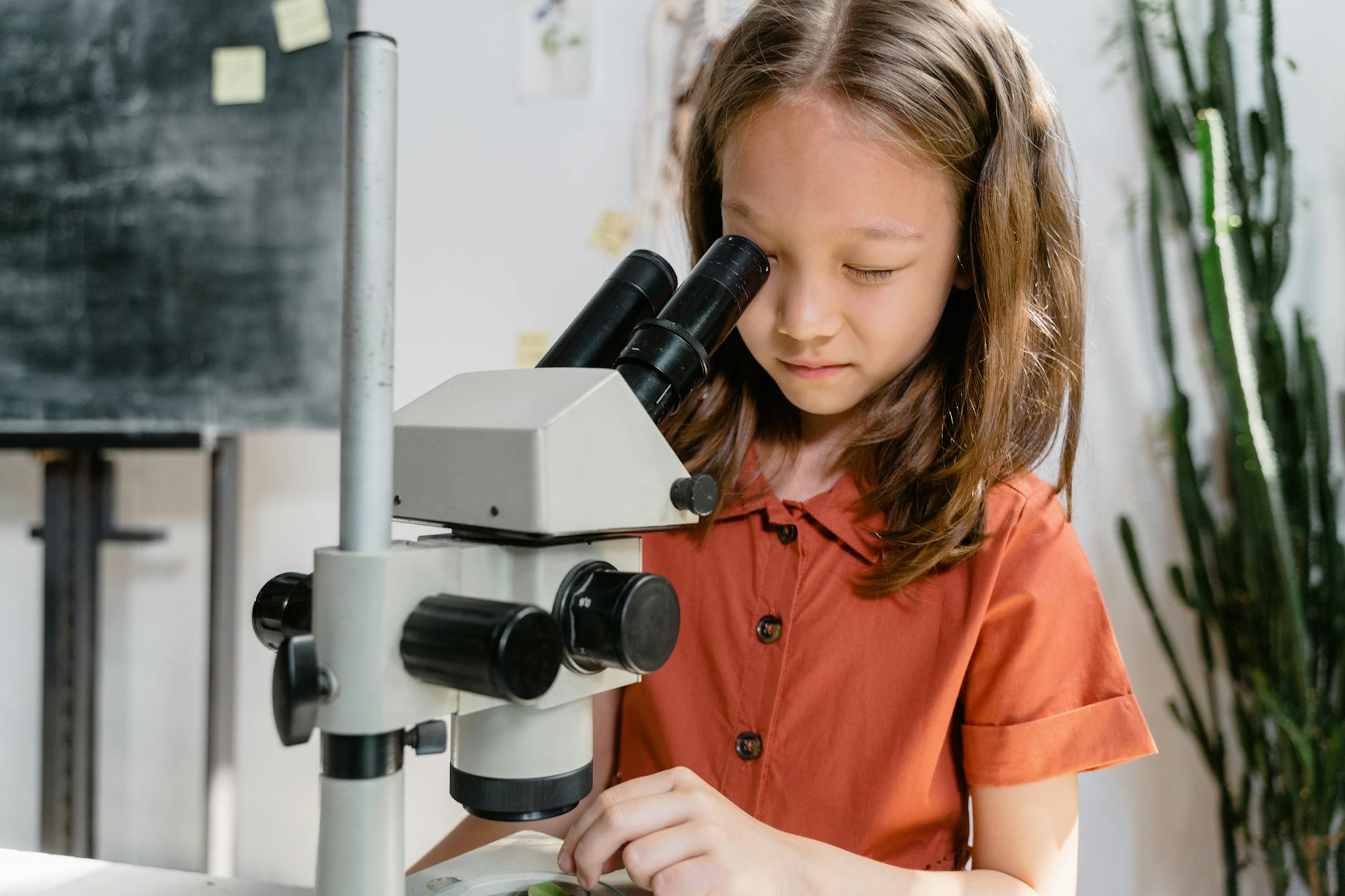 A young girl in an orange shirt looks through the lens of a microscope.