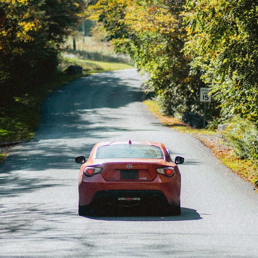 A red car is driving away down a tree lined road.