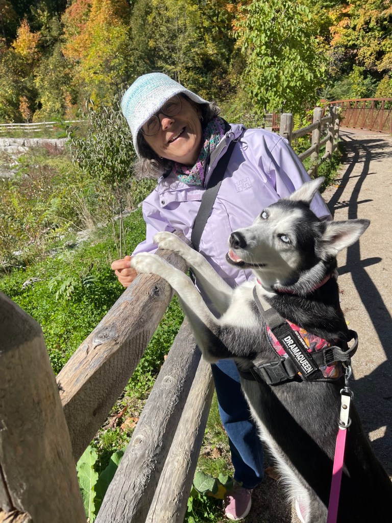 The author and her grand-dog husky posing by a wooden fence on a trail in the autumn.