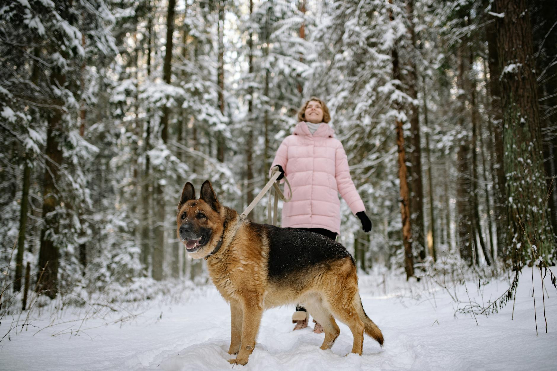 A woman in a pink puffy coat stands in a snowy forest with her dog on a leash.